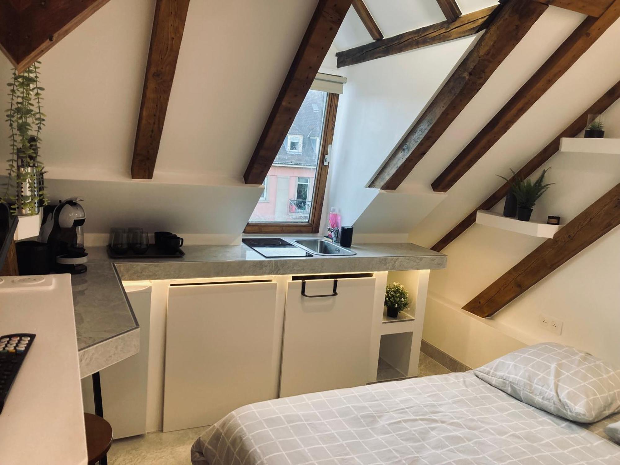 Petit Nid Sympa A Strasbourg 아파트 외부 사진
